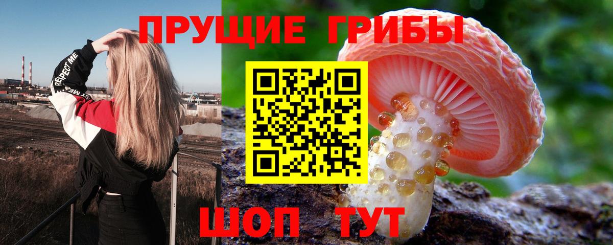 Галлюциногенные грибы Psilocybine cubensis  Вход с VPN  Нефтекамск 
